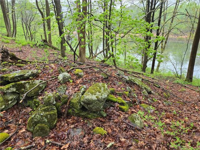 Land for sale in East Branch, New York