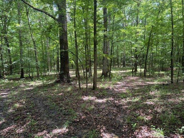 Land for sale in Tuskegee, Alabama