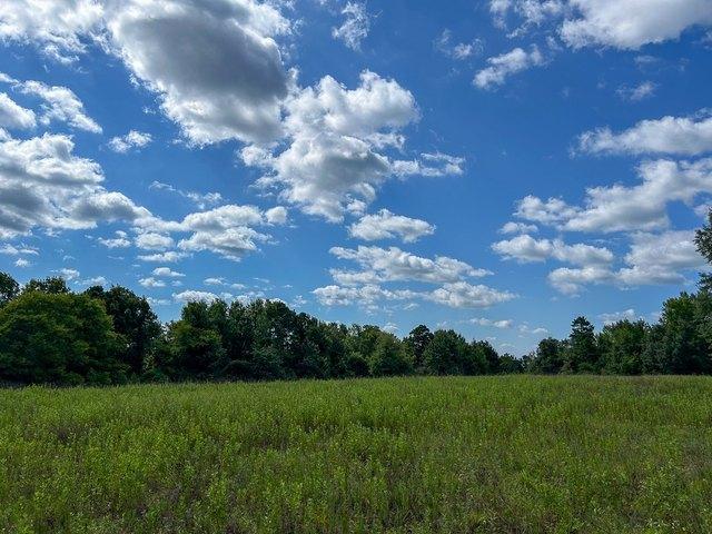 Land for sale in Rusk, Texas