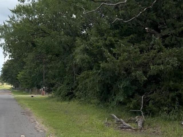Land for sale in Grand Saline, Texas
