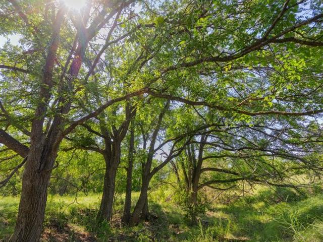 Farm for sale in Purmela, Texas