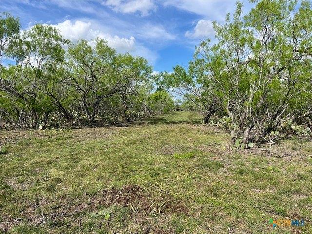 Farm for sale in Smiley, Texas