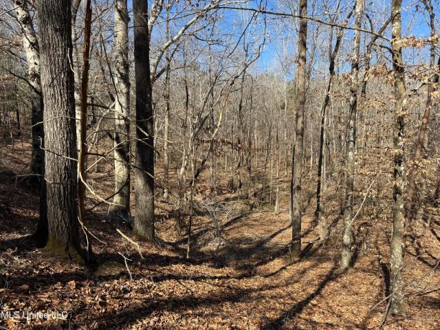 Land for sale in Coffeeville, Mississippi