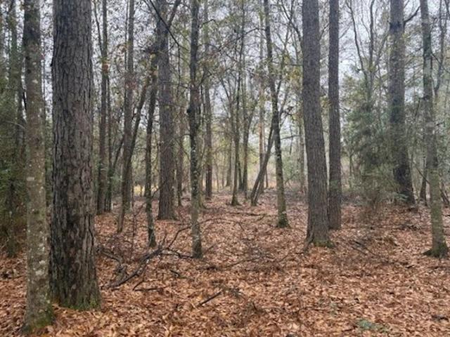 Land for sale in Hillister, Texas