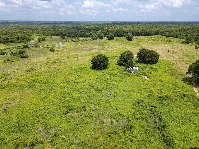Farm for sale in Titus, Texas