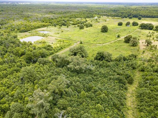 Land for sale in Titus, Texas