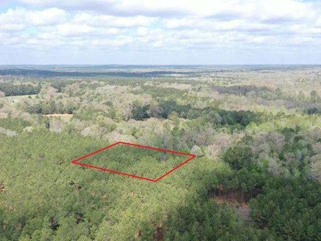 Farm for sale in Linden, Texas