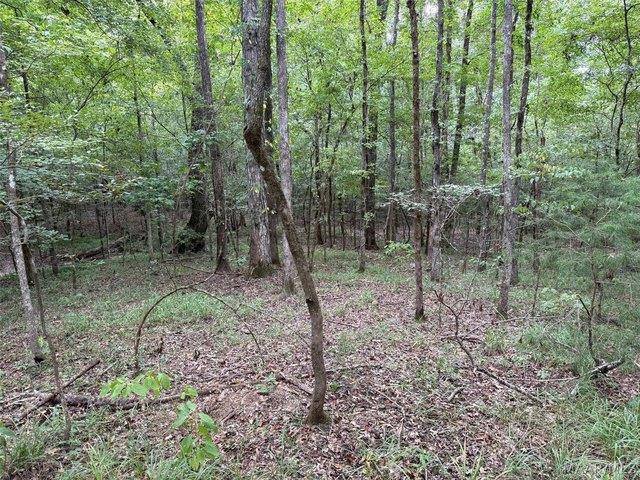 Land for sale in Troy, Alabama