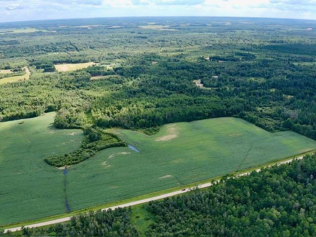Land for sale in Roseau, Minnesota