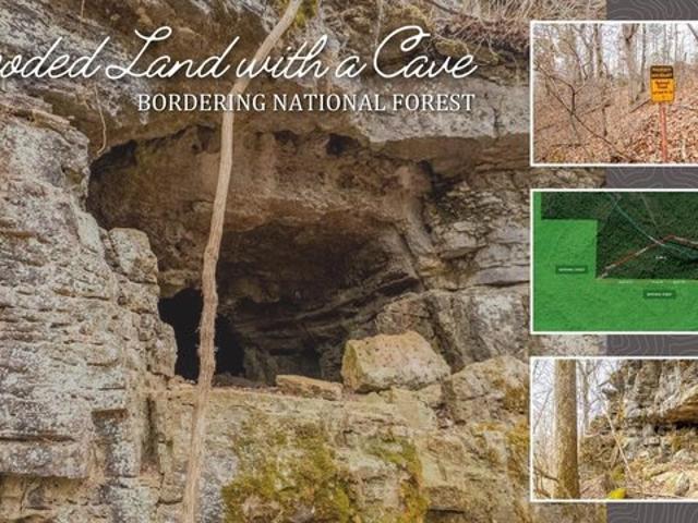 Land for sale in Alton, Missouri