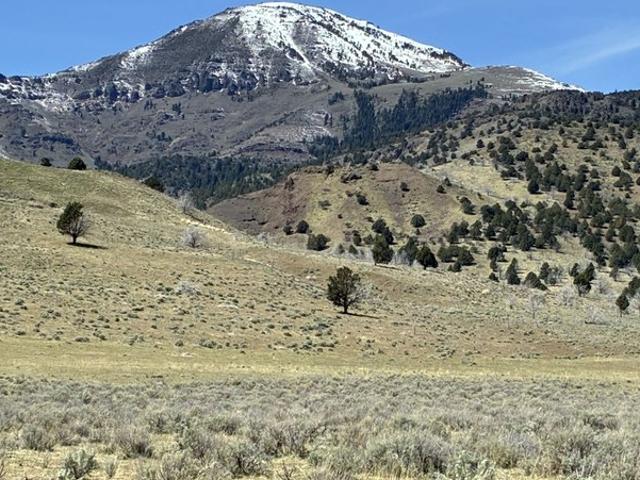 Land for sale in Eagleville, Yuba County