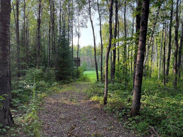 Land for sale in Emily, Minnesota