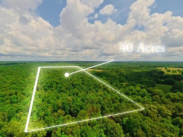 Land for sale in Alton, Missouri