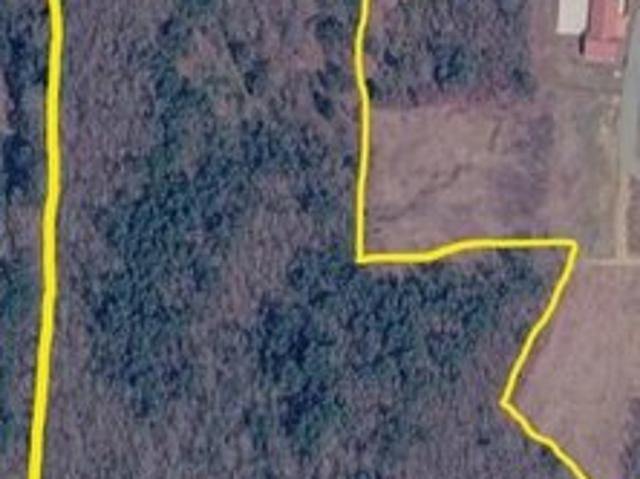 Land for sale in Pittsboro, Mississippi