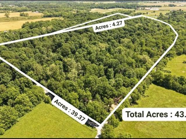 Land for sale in Versailles, Indiana