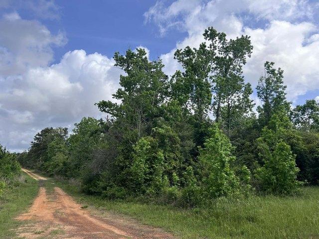 Land for sale in Newton, Texas