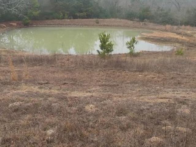 Land for sale in Leon, Texas