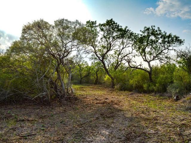 Farm for sale in Bee, Texas