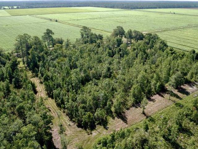 Land for sale in Saint Johns, Florida
