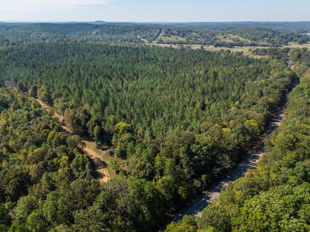 Land for sale in Pittsboro, Mississippi