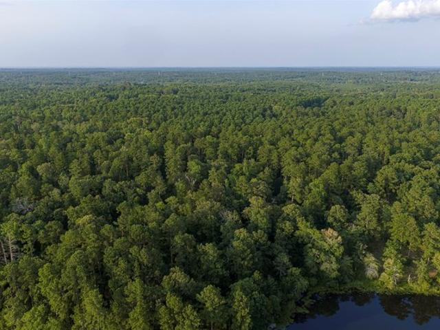 Land for sale in Tatum, Texas