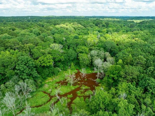 Land for sale in Tatum, Texas