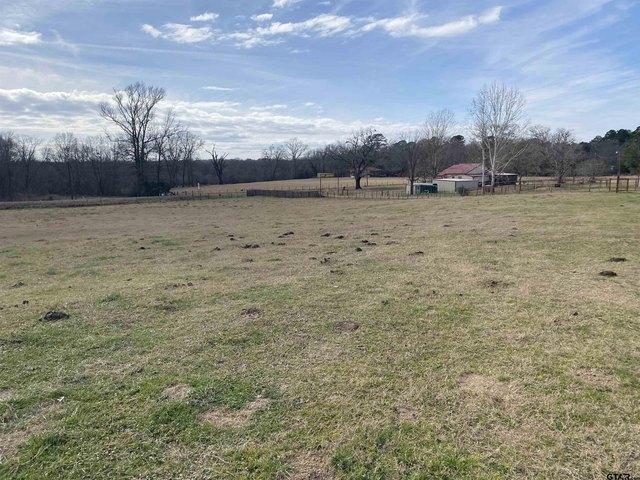 Land for sale in Smith, Texas