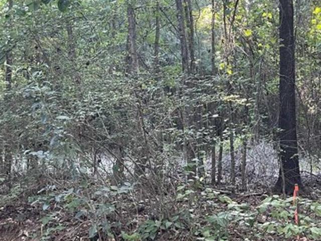 Land for sale in Troup, Smith County