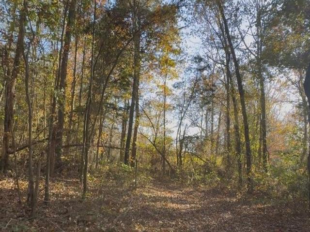 Land for sale in Abbeville, Mississippi