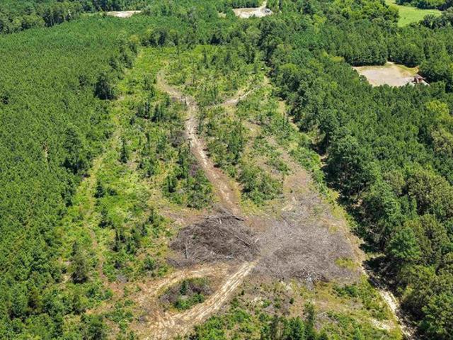Land for sale in Tatum, Texas