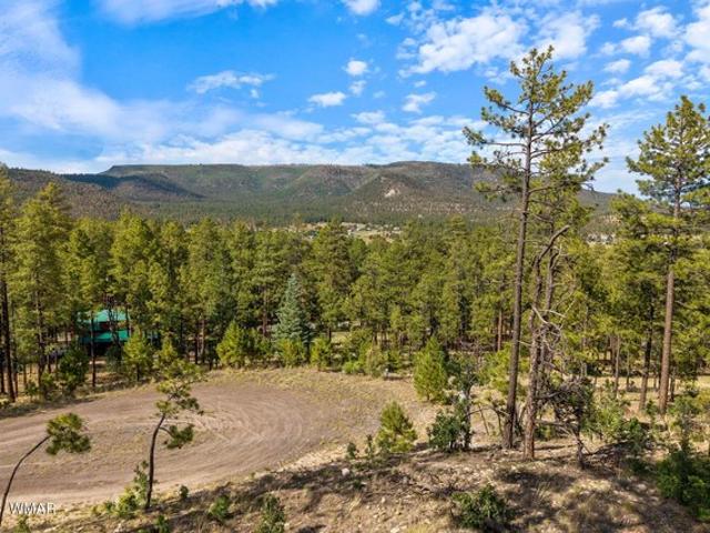 Land for sale in Alpine, Arizona