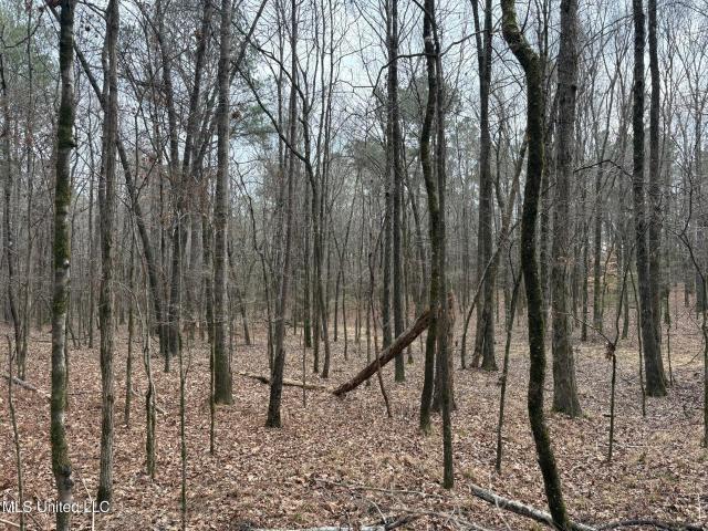 Land for sale in Kosciusko, Attala County