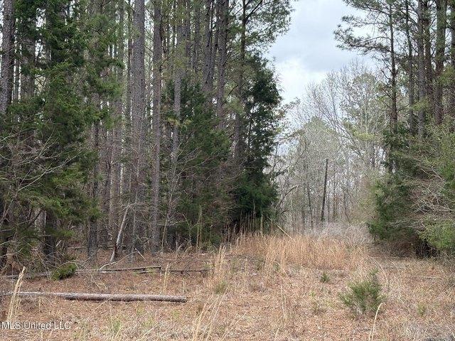 Land for sale in Kosciusko, Mississippi