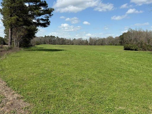 Farm for sale in Elba, Alabama