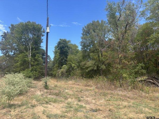 Land for sale in Pittsburg, Camp County