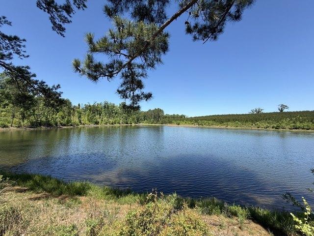 Land for sale in Shorterville, Alabama