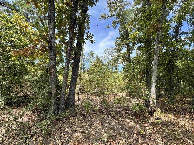 Land for sale in Henderson, Texas