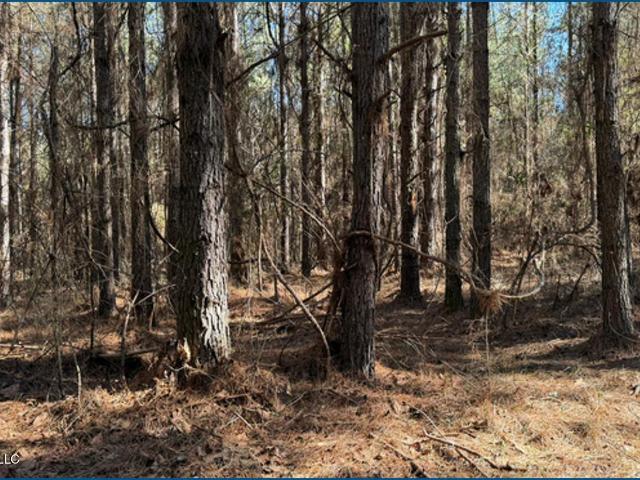 Land for sale in Ethel, Mississippi