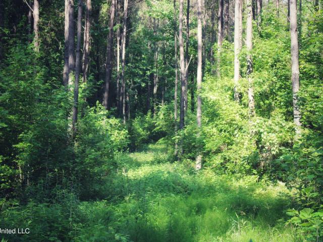 Land for sale in Coffeeville, Mississippi