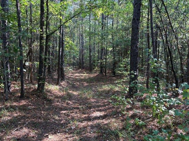 Land for sale in Tiplersville, Mississippi