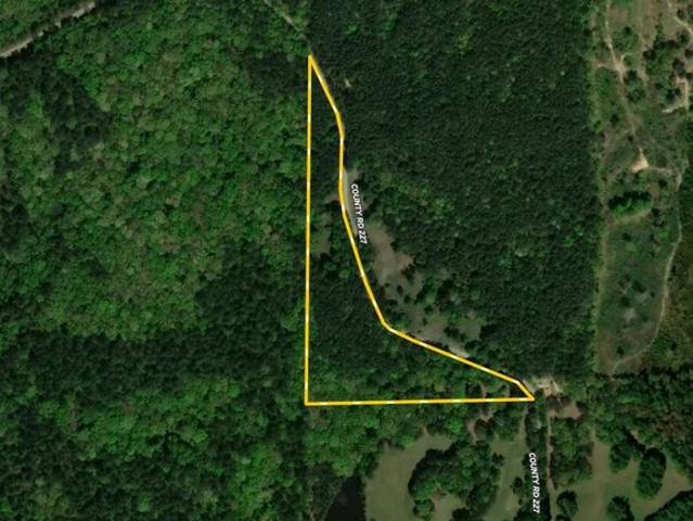 Land for sale in Water Valley, Mississippi