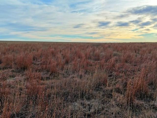 Farm for sale in Haswell, Colorado