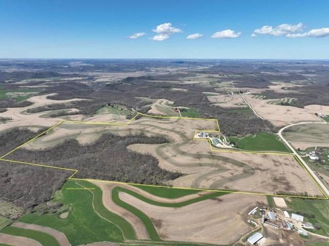 Land for sale in Houston, Minnesota