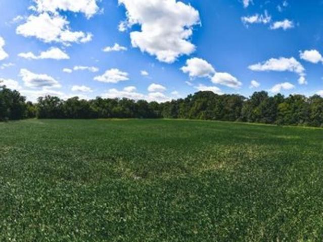 Farm for sale in Douglas, Illinois