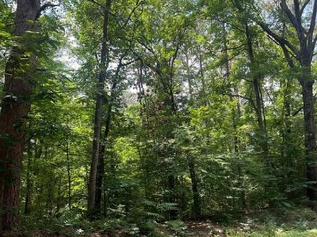 Land for sale in Rusk, Texas