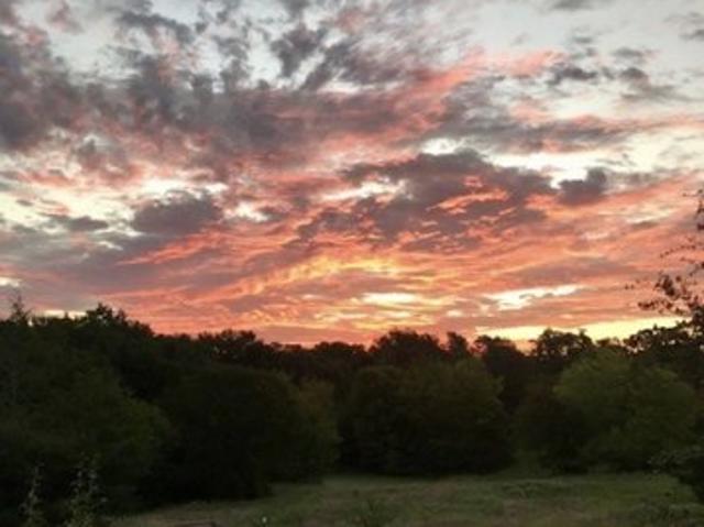 Land for sale in Terrell, Texas