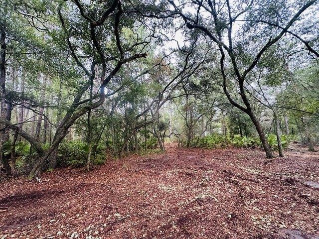 Land for sale in Bell, Florida
