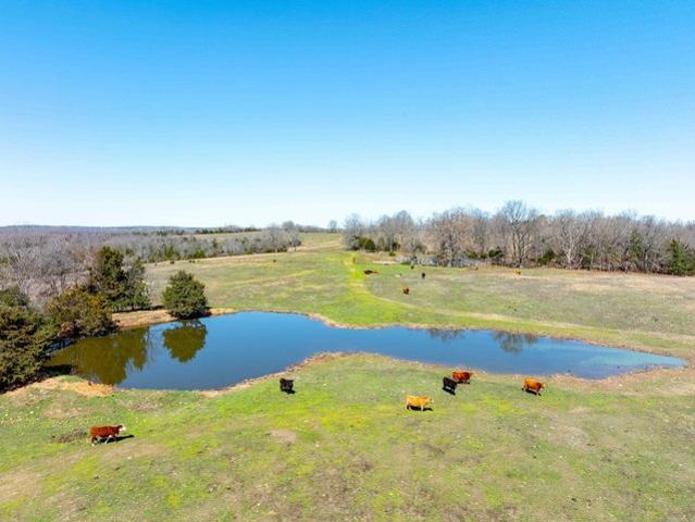 Land for sale in Ark