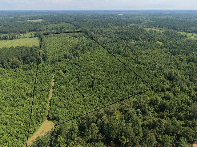 Land for sale in Marietta, Texas