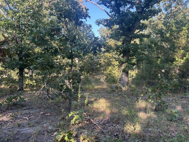 Land for sale in Salem, Missouri